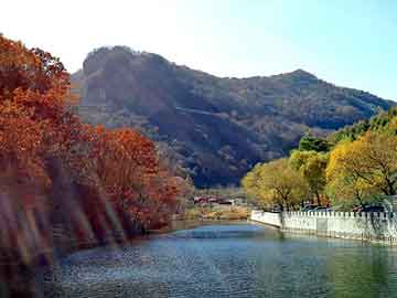 新澳天天开奖资料大全旅游团，小浪底论坛